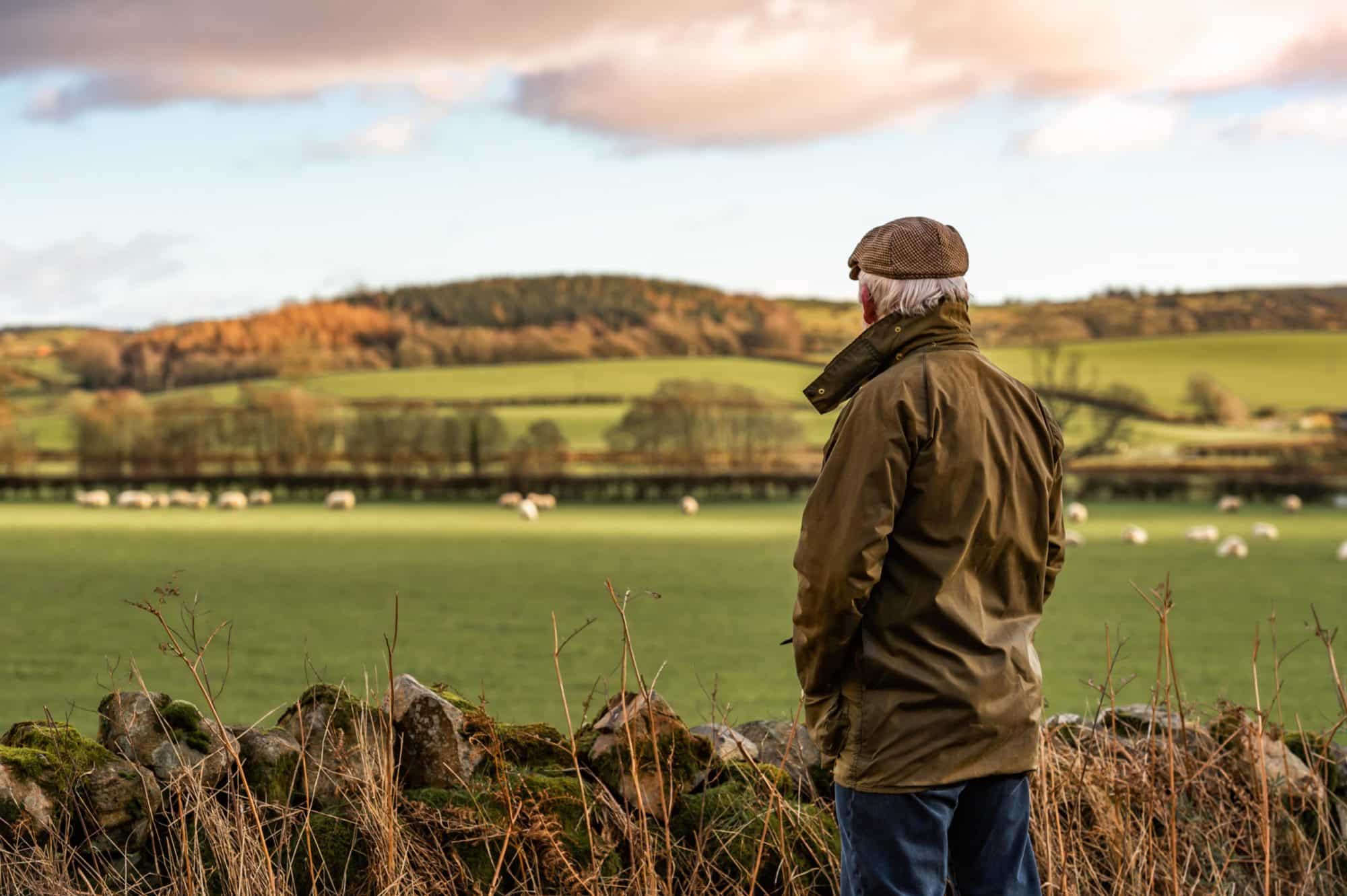 senior man looking at field