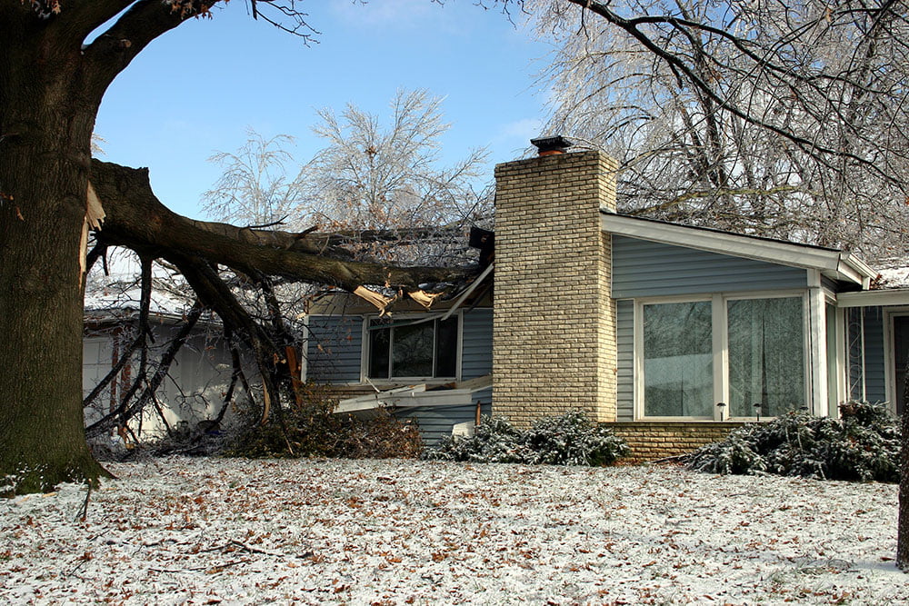 A home damaged by a fallen tree after a winter storm in Boston, MA.